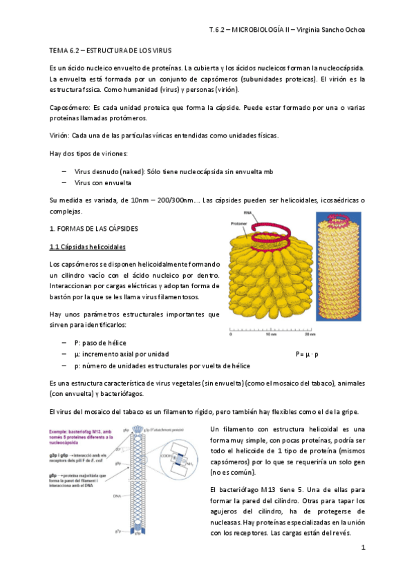 Miniatura del documento TEMA-6.pdf