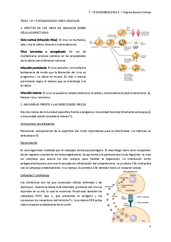 Miniatura del documento tema-2.pdf