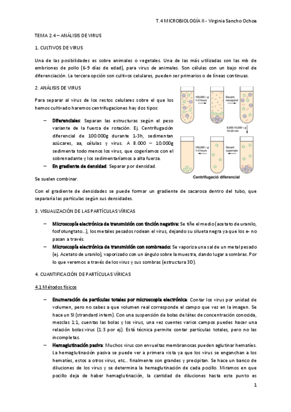 Miniatura del documento tema-2.pdf