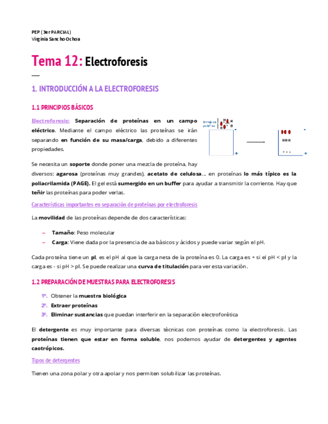 Miniatura del documento TEMA-12.pdf