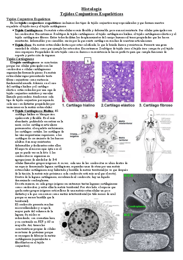Miniatura del documento Tema-25.pdf