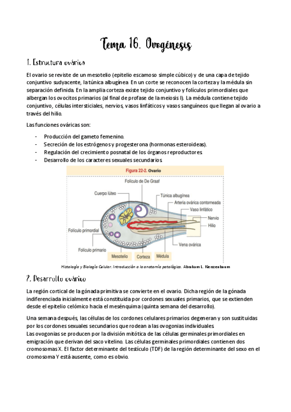 Miniatura del documento Tema-16.pdf