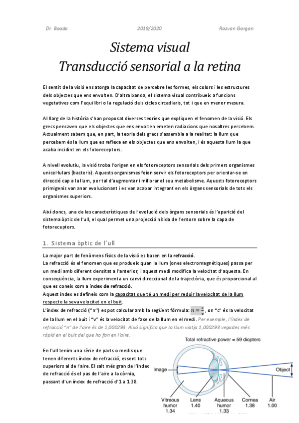 Miniatura del documento Sistema-visual.pdf