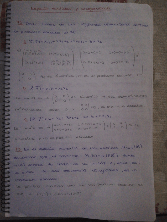 Miniatura del documento tema-espacio-euclideo-ejercicios-resueltos-de-clase.pdf