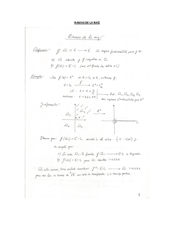 Miniatura del documento ramas-de-la-raiz-compleja.pdf