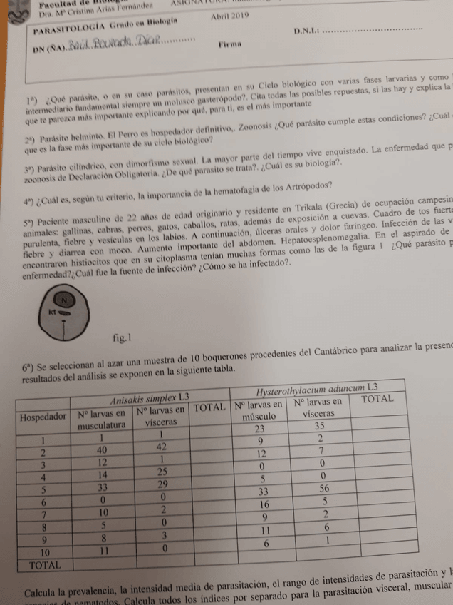 Miniatura del documento OPCION-C-2019-ABRIL.jpg