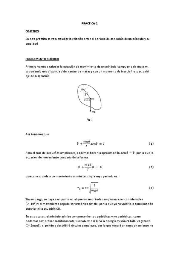 Miniatura del documento PRACTICA-1.pdf