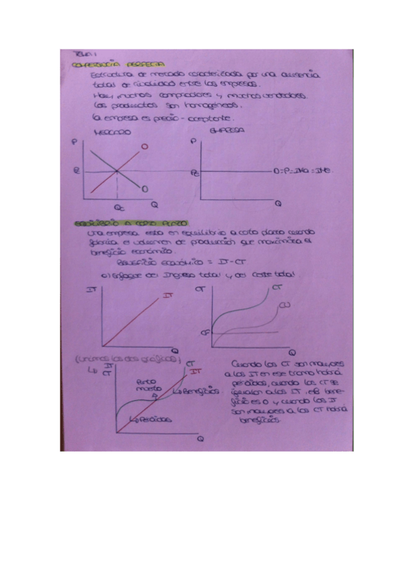 Miniatura del documento apuntes econometria tema 1-9 .pdf