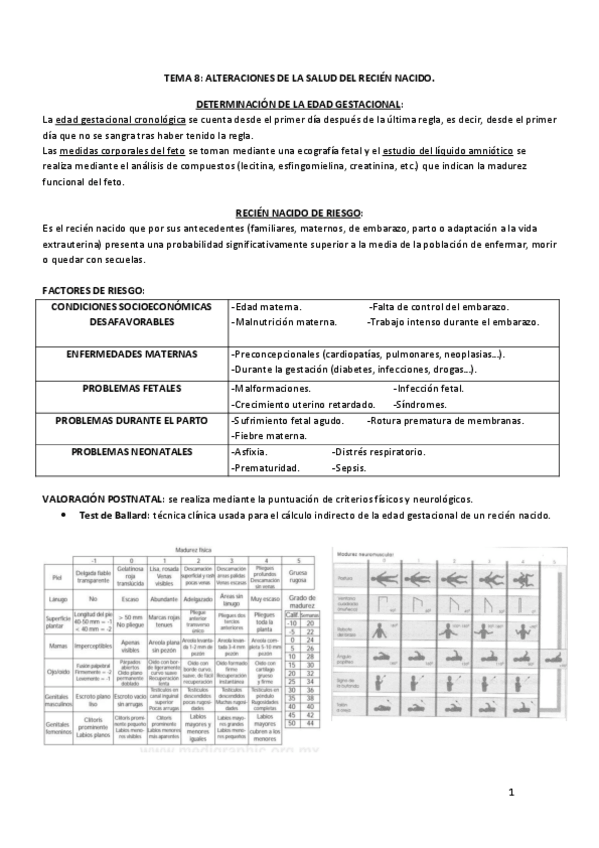 Miniatura del documento Tema-8.pdf