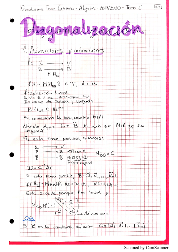 Miniatura del documento Algebra-Tema-6.pdf