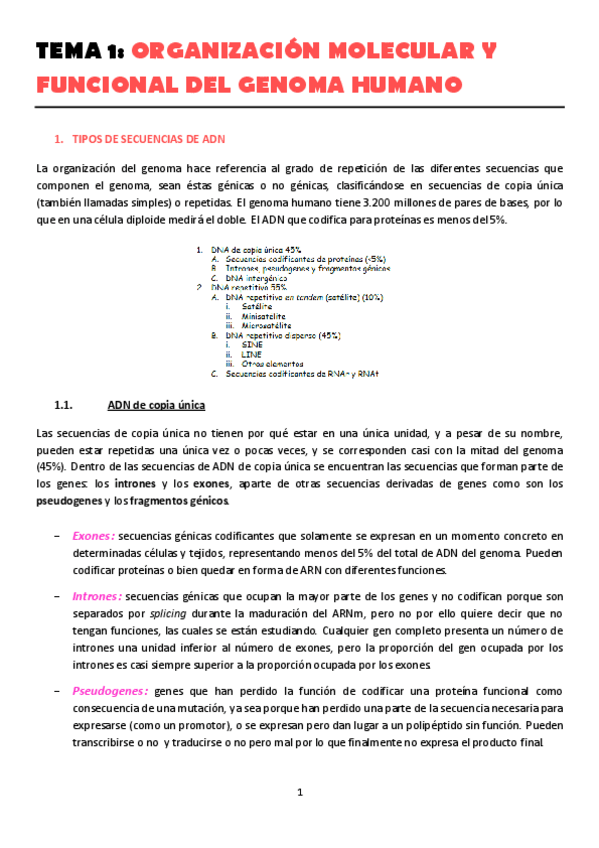 Miniatura del documento TEMA-1.pdf