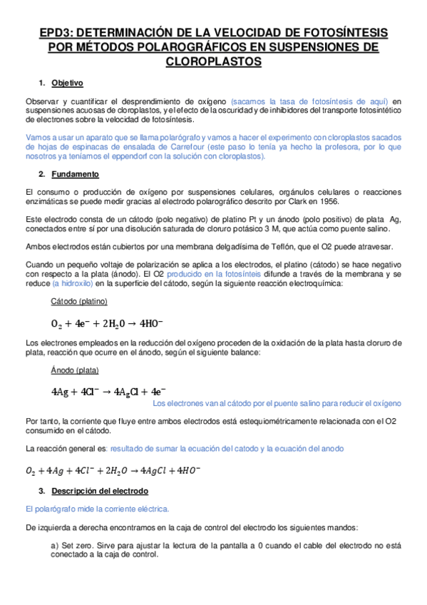 Miniatura del documento EPD3-INFORME.pdf
