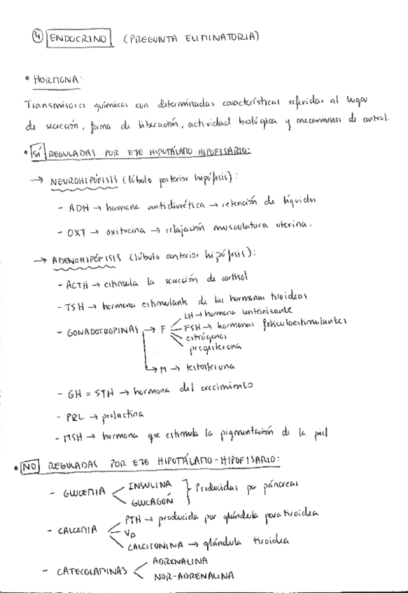 Miniatura del documento PreguntasEliminatorias2Parcial.pdf