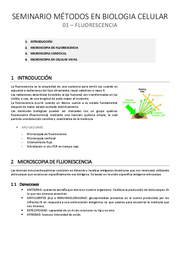 Miniatura del documento SEM MBC 01: Fluorescencia.pdf