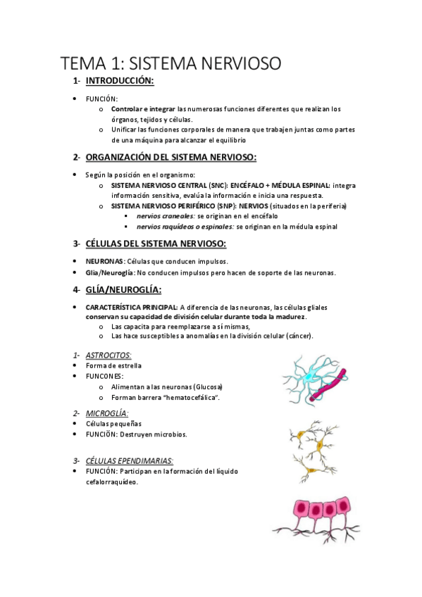 Miniatura del documento TEMA-3.pdf