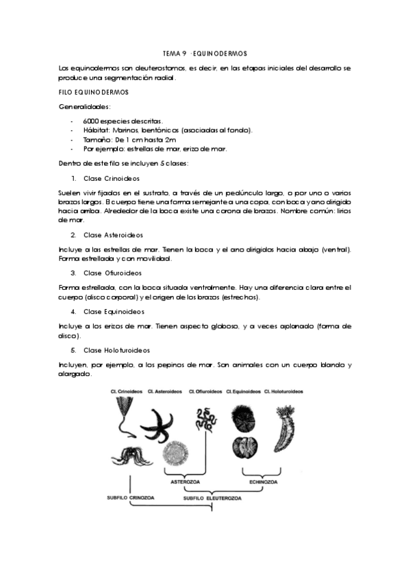Miniatura del documento Tema-9-curso-19-20.pdf