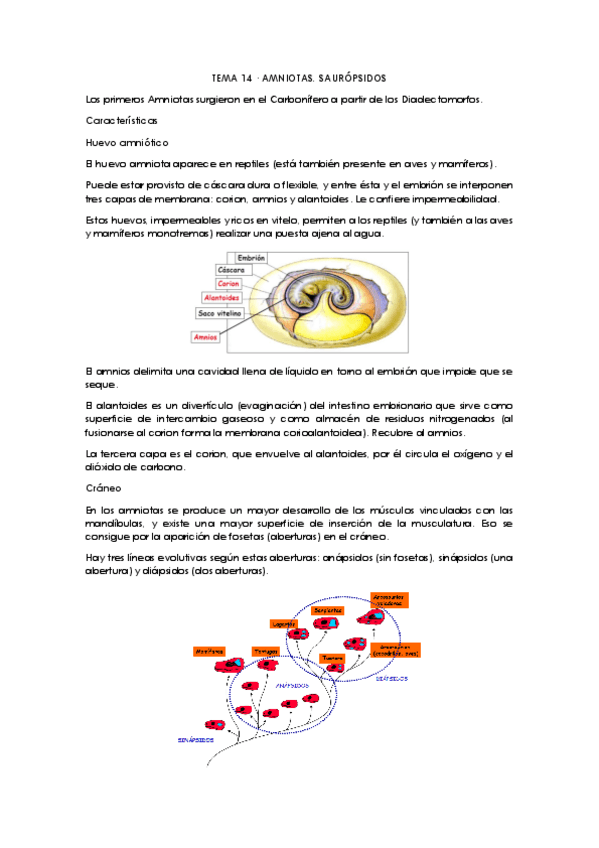 Miniatura del documento Tema-14-curso-19-20.pdf