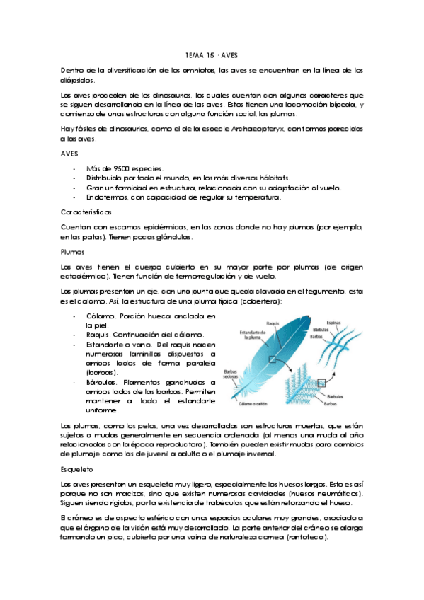 Miniatura del documento Tema-15-curso-19-20.pdf