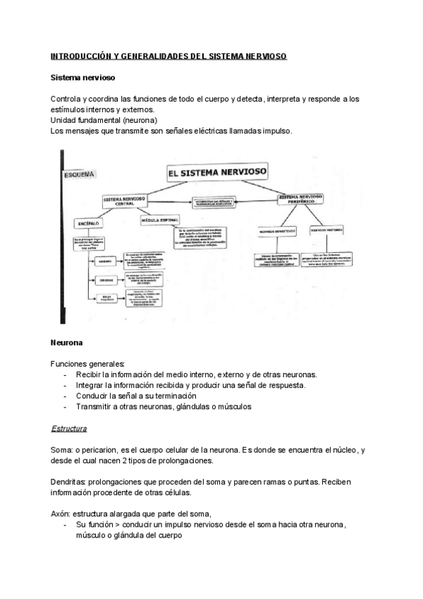 Miniatura del documento Tema-13.pdf