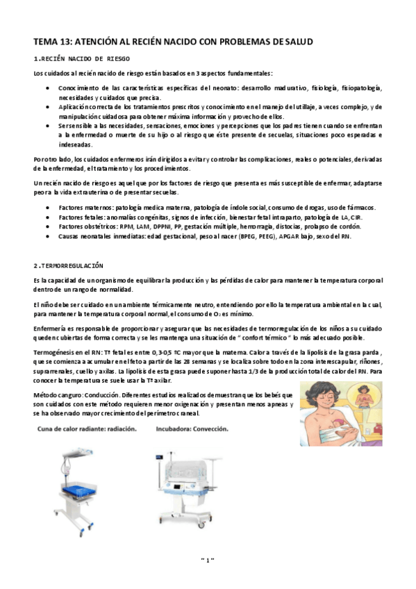 Miniatura del documento Tema-13-atencio-RN-con-problemas-salud.pdf