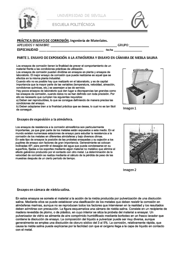 Miniatura del documento Practica 5 Corrosion.pdf