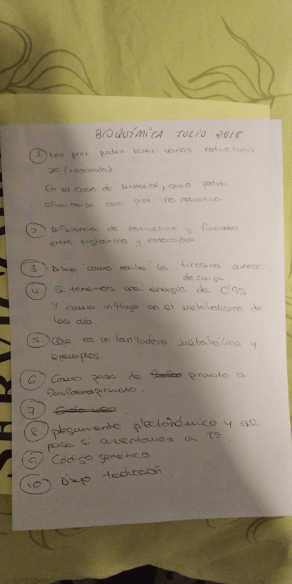 Miniatura del documento IMG-20191221-WA0021.jpg