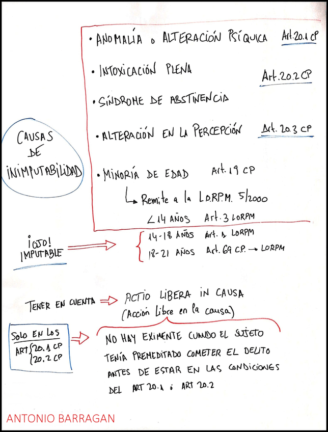 Miniatura del documento CAUSAS-INIMPUTABILIDAD.jpg