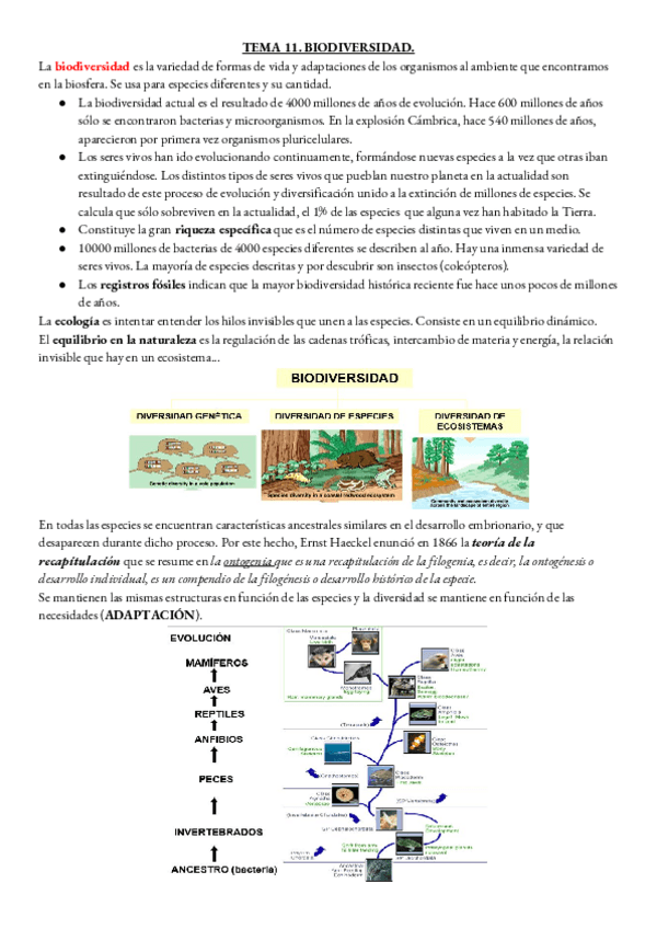 Miniatura del documento BIOLOGIA-TEMA-11.pdf