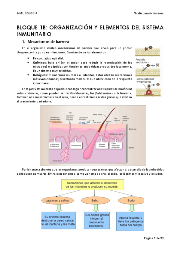 Miniatura del documento BLOQUE-1B.pdf