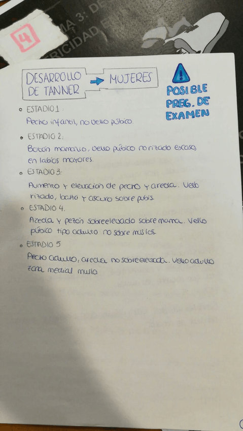 Miniatura del documento WhatsApp-Image-2018-06-25-at-14.jpg