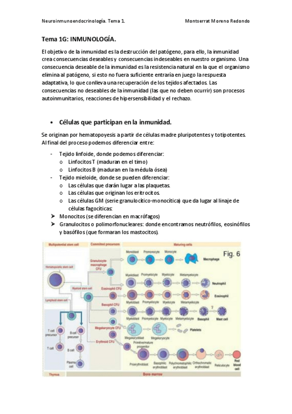 Miniatura del documento Tema-1G.pdf