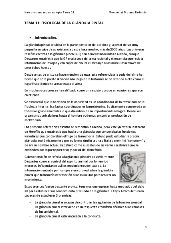 Miniatura del documento TEMA-11.pdf