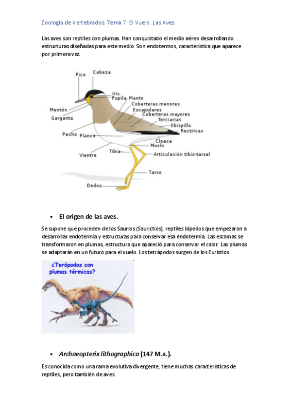 Miniatura del documento TEMA-7-ZOO.pdf