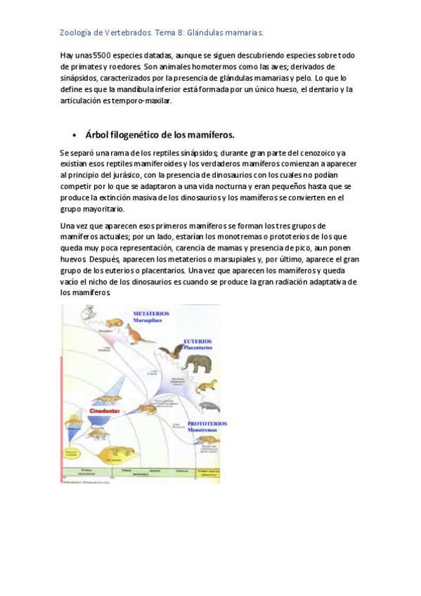 Miniatura del documento TEMA-8-ZOO.pdf