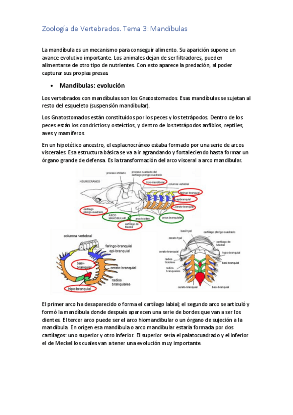 Miniatura del documento TEMA-3-ZOO.pdf