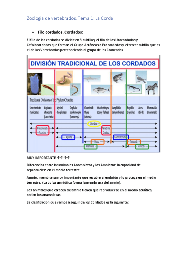 Miniatura del documento TEMA-1-ZOO.pdf