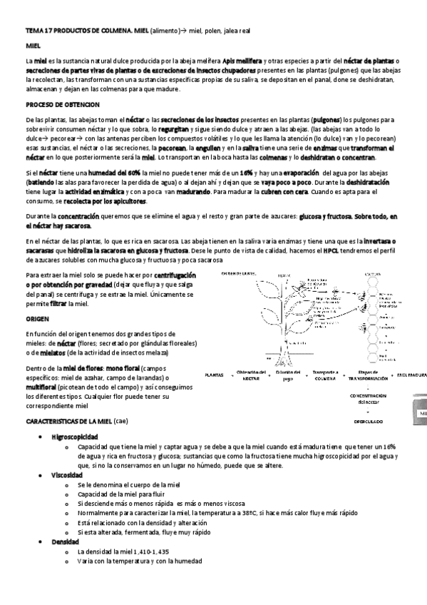 Miniatura del documento TEMA-17.pdf