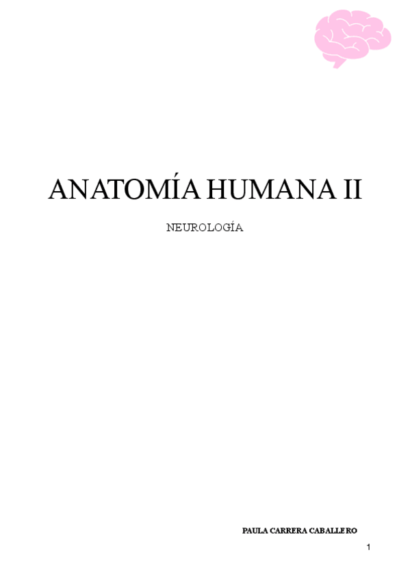 Miniatura del documento APUNTES-ANATOMIA-II-TOT.pdf