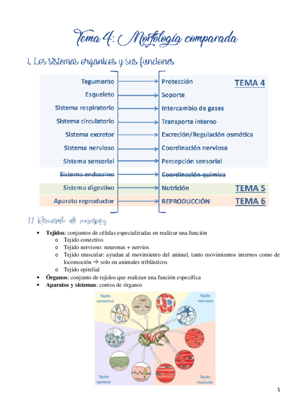 Miniatura del documento Tema-4.pdf