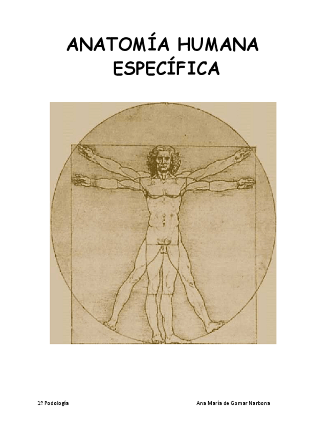Miniatura del documento ANATOMÍA HUMANA Parte 1.pdf