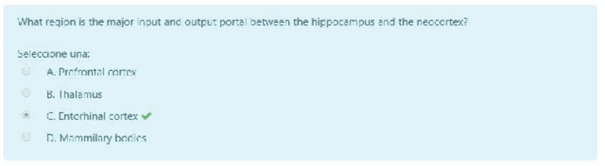 Miniatura del documento Autoevaluacion-Tema-6.pdf