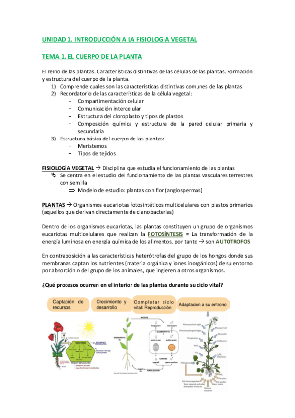 Miniatura del documento TEMA-1-C.pdf
