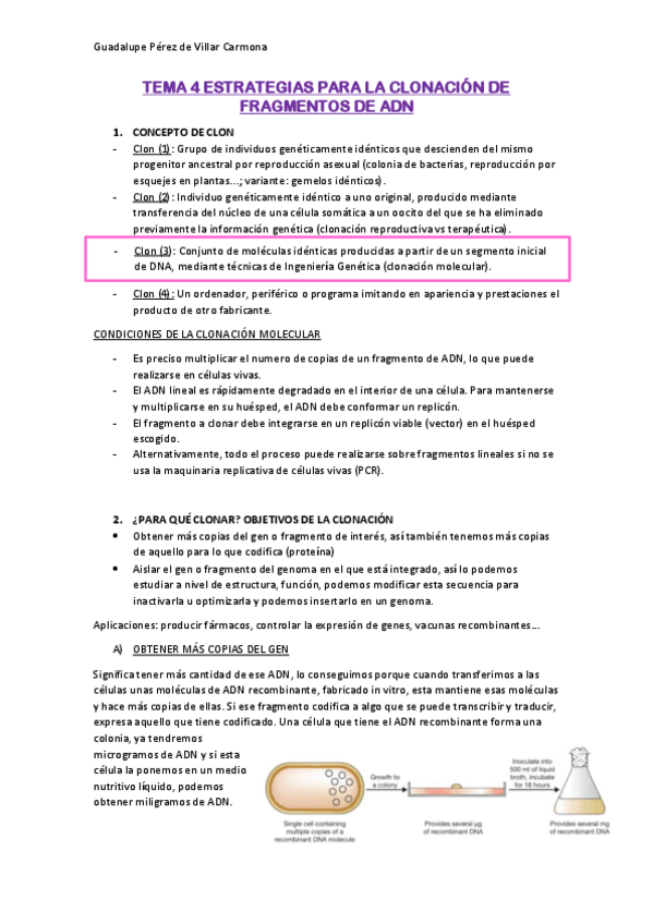 Miniatura del documento TEMA-4.pdf