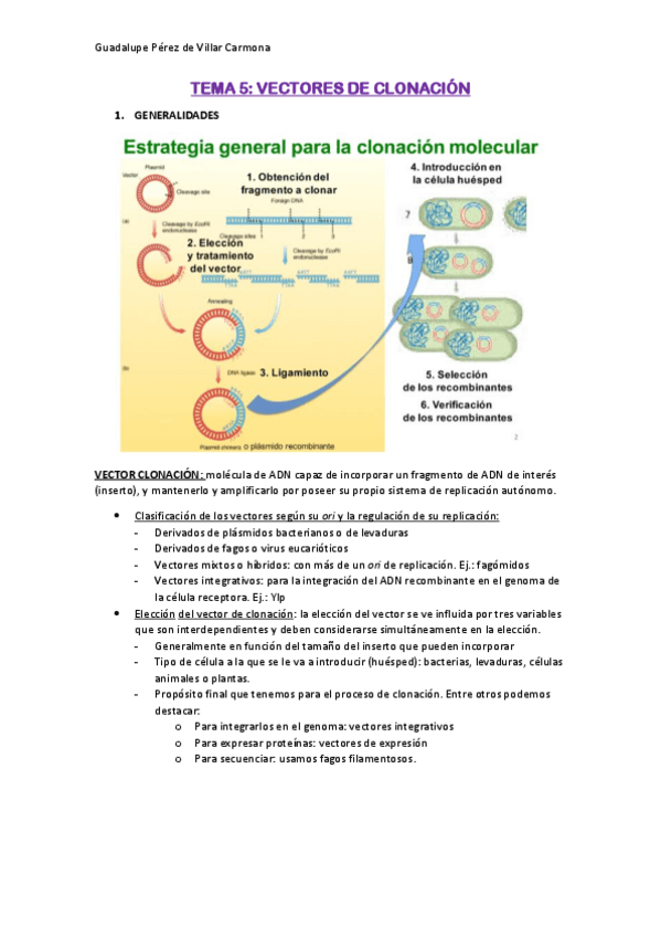 Miniatura del documento TEMA-5.pdf