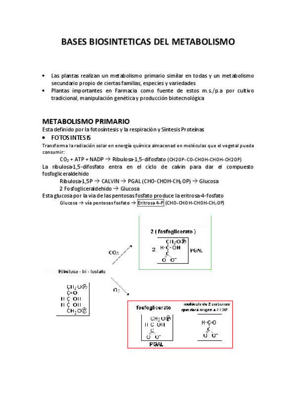 Miniatura del documento GNOSIA-T2.pdf
