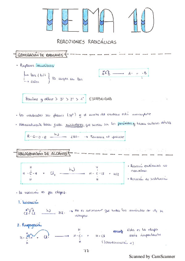 Miniatura del documento Tema-10-Organica.pdf