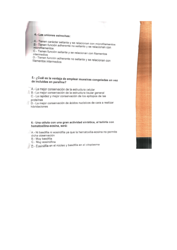 Miniatura del documento Fotos-examen-global-1.pdf