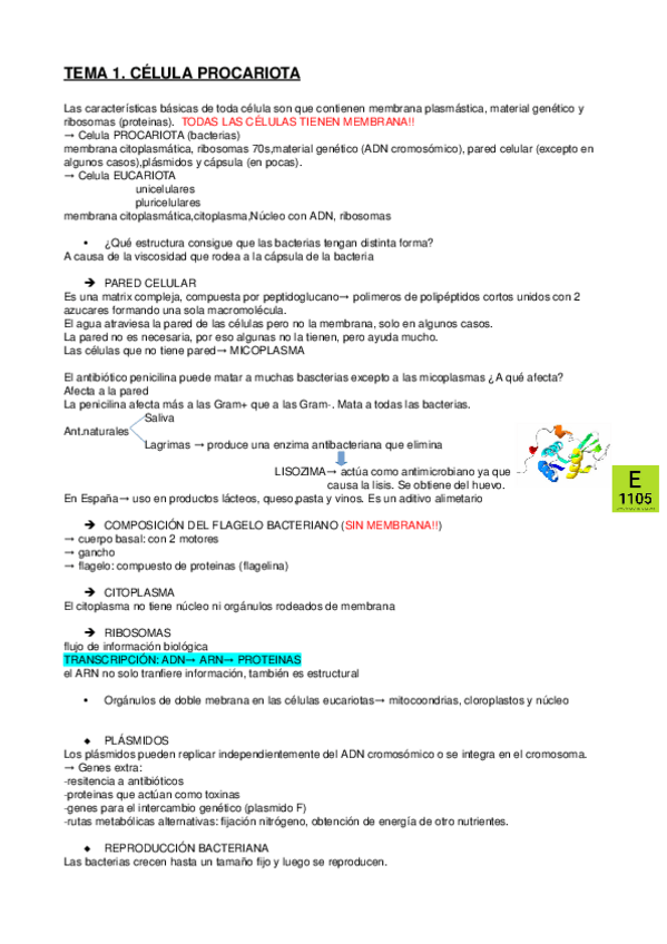 Miniatura del documento tema-123-apuntes.odt