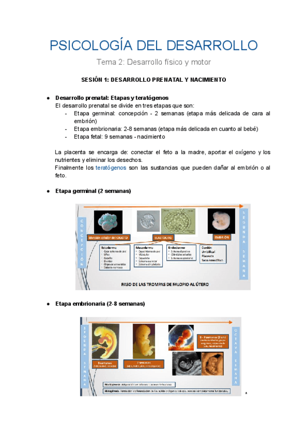 Miniatura del documento PSICOLOGIA-DEL-DESARROLLO-T.pdf