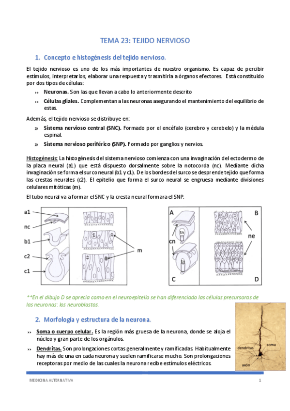Miniatura del documento TEMA-23.pdf